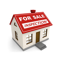 Additional Inspection Services 